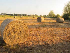 MSS_Hay Bales