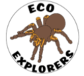Eco-Explorers