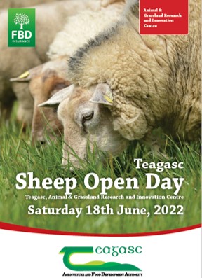 Sheep Open Day 2022