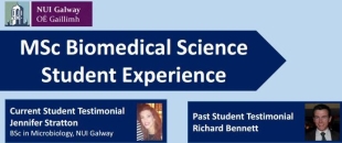 MSc Biomedical Science Student Experience