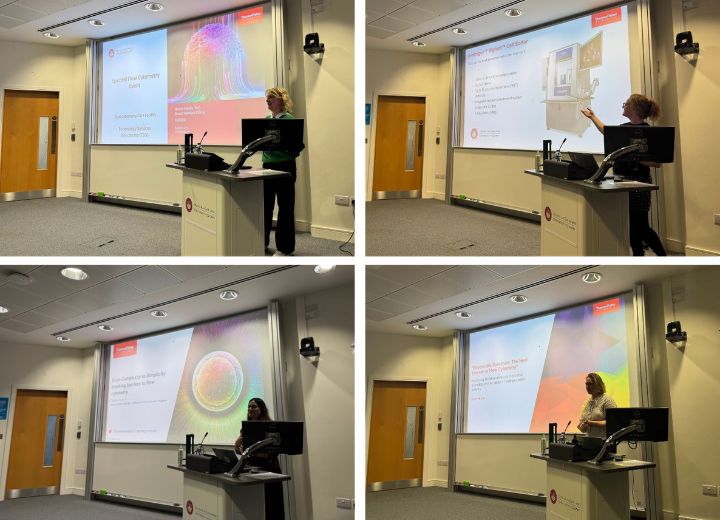 Four images of people presenting in a seminar room