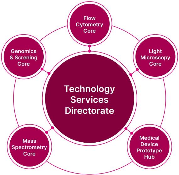 A diagram outlining the five core facilities within the Technology Services Directorate