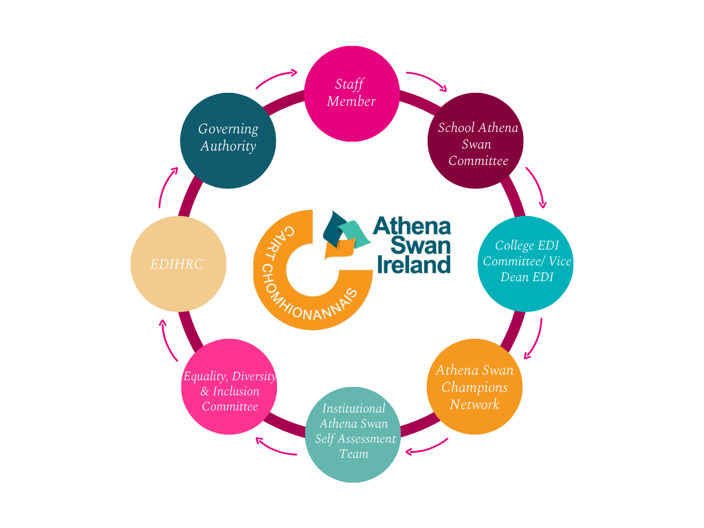 Athena Swan Information Flow