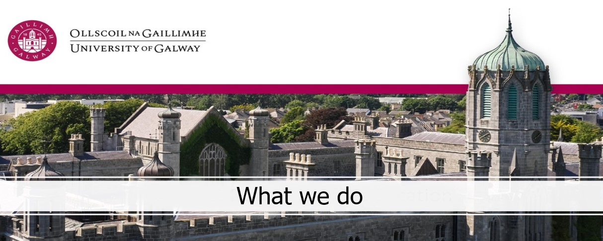 Picture of Quadrangle at university of galway with text what we do overlayed