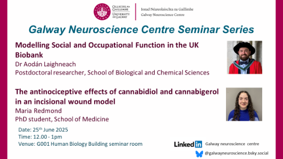 GNC seminar June 2025