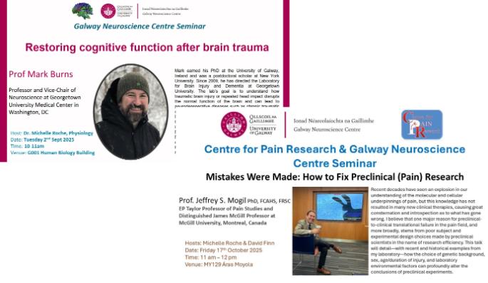 two examples of 2025 invited speaker seminar notices