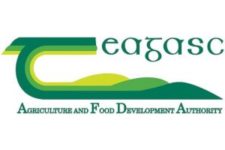 Teagasc logo