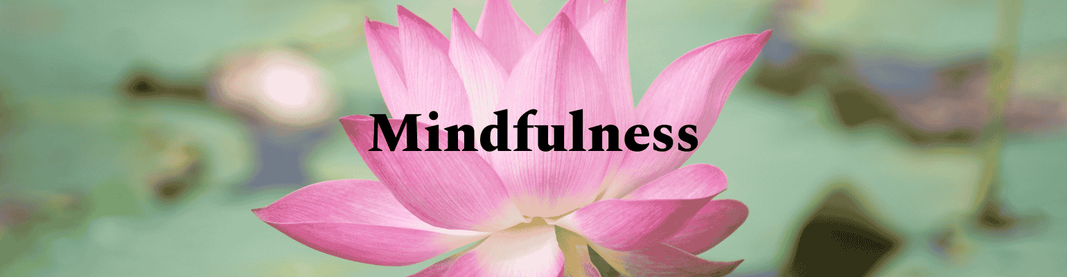 Mindfulness