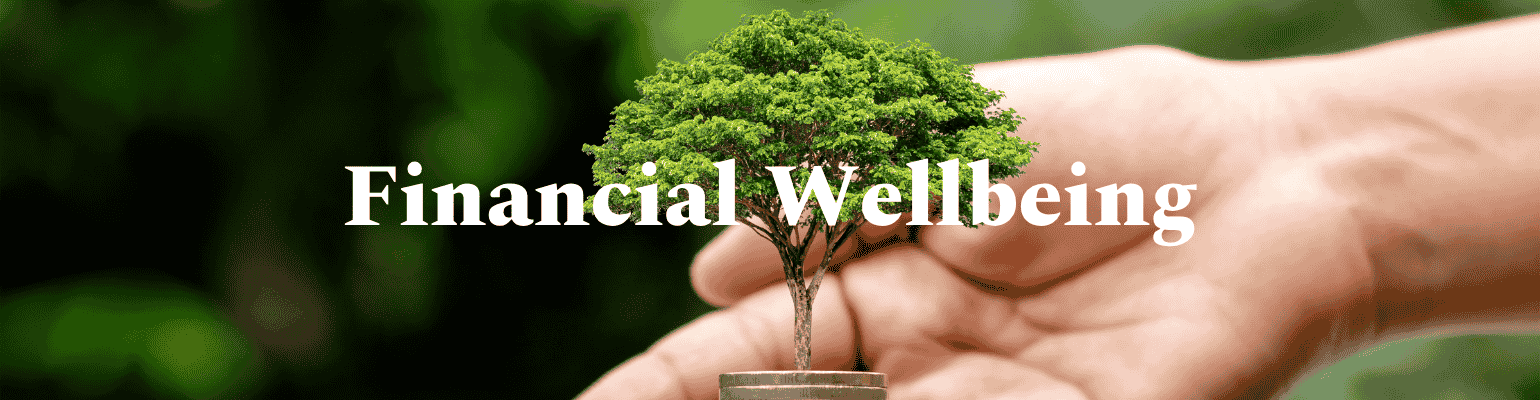 Financial Wellbeing banner