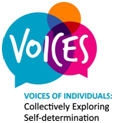 voices logo ilas