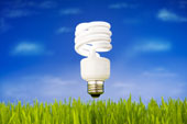 Lightbulb Image