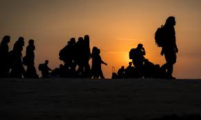 Migration and Refugee Law and Policy Research Cluster