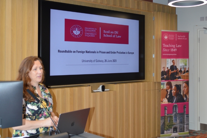 Dr. Mulgrew hosts Expert Roundtable - Foreign Nationals in Prison and Probation in Europe