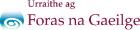 Foras na Gaeilge