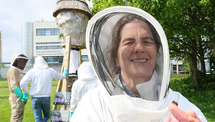 Professor Grace McCormack holds a wild native Irish honey bee at a log hive on University of Galway'