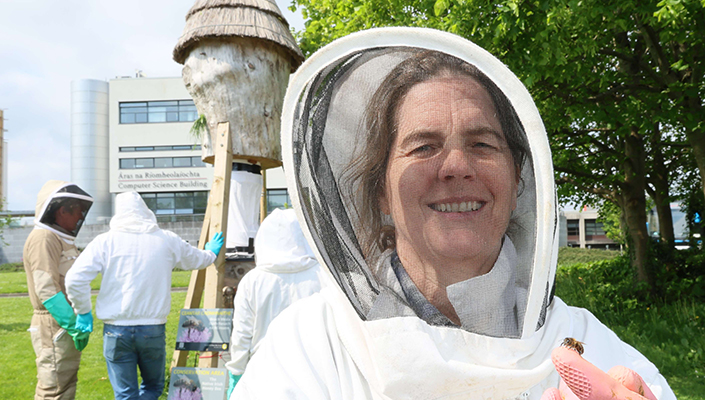 Bees Grace McCormack