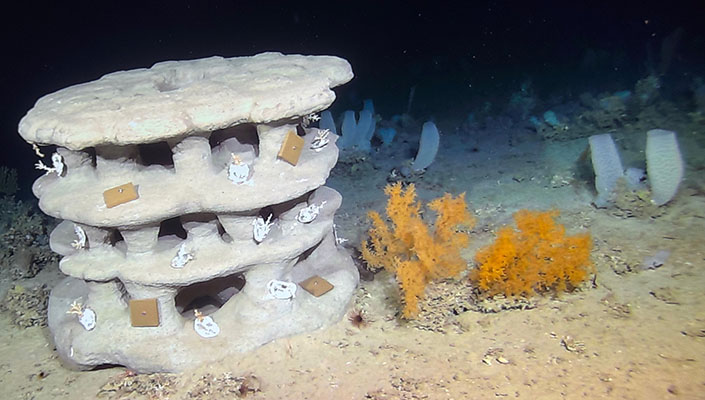 Installed Artificial Reef in 950m of water off the Porcupine Bank. Credit &ndash; Ifremer/REDECOR 2026