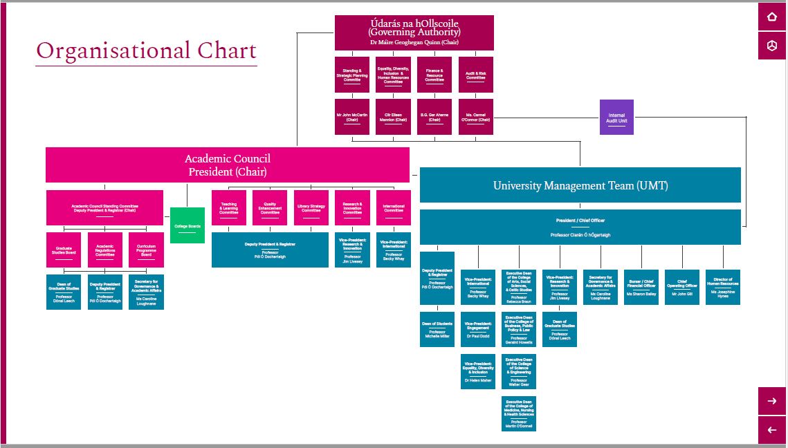 University of Galway Organisational Chart