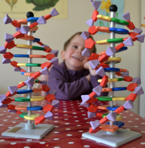 Cell Explorers