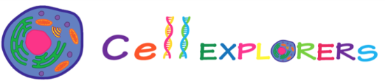 Cell Explorers