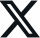 X-Icon