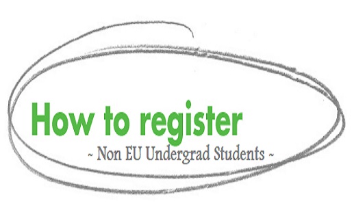 Non EU Undergrad Reg Flyer