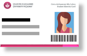 2017 blank ID card