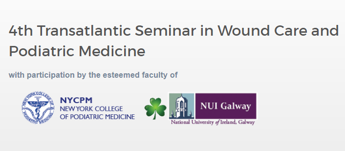 NUIG_NYCPM emblems and 4th transatlantic seminar banner