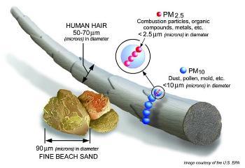 Pollutants Size Hair Comparison