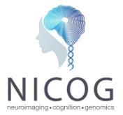 Nicog Logo