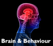 Brain and Behaviour