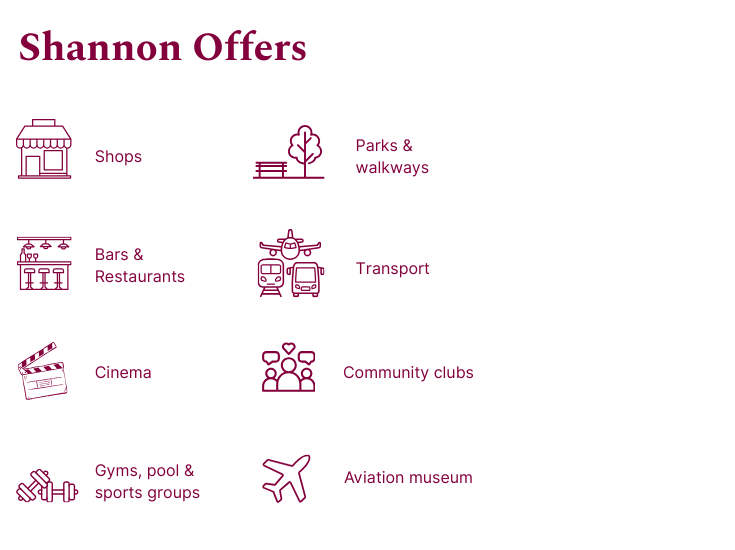 icons with what shannon town offers