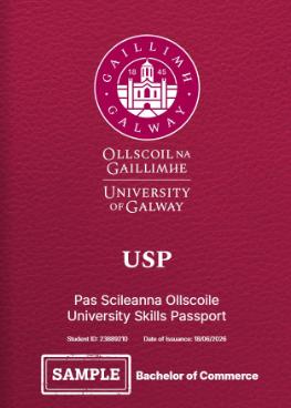 An image of the front page of a USP document with University of Galway logo, students name and ID number on it with USP in large print and Bachelor of Commerce on it, colour is maroon