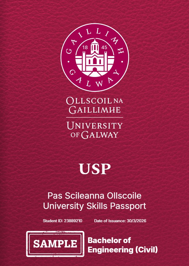 An image of the front page of a USP document with University of Galway logo, students name and ID number on it with USP in large print, and Bachelor of Engineering on it.  colour is maroon