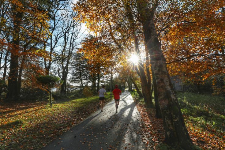 people running on biodiversity trail