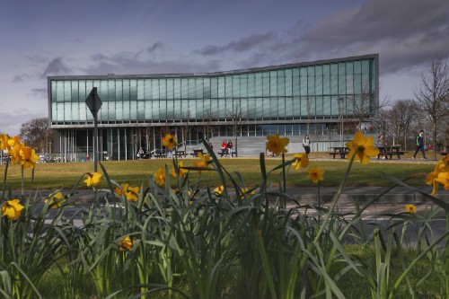 daffodils in front of the engineering building