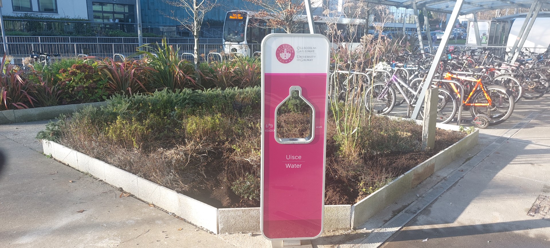 An image of a University of Galway standalone outdoor drinking water fountain