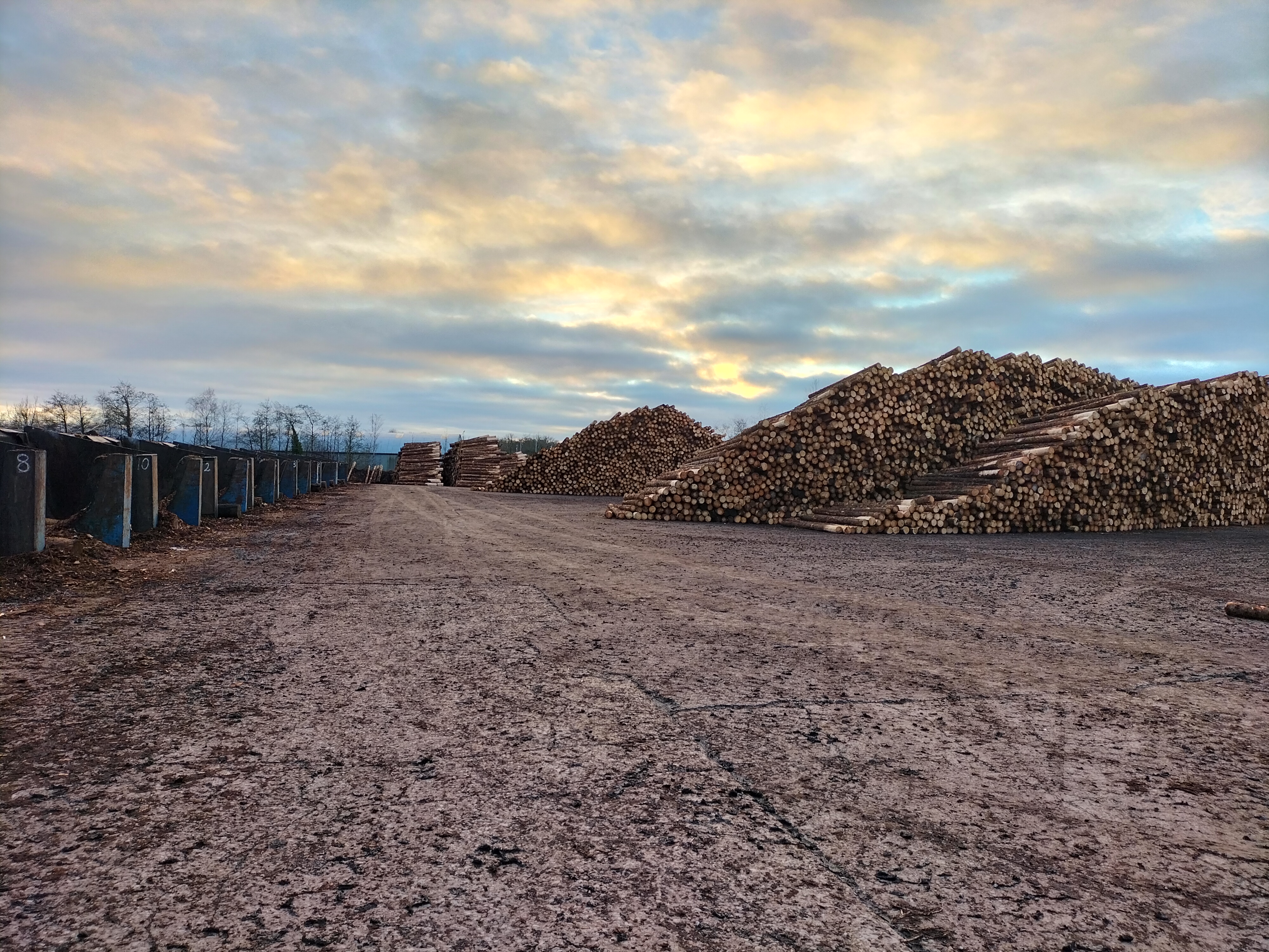 Murray Timber Group sawmill