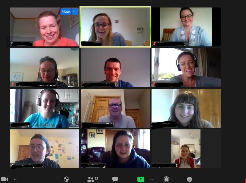 The D1 Now Group meeting on zoom in 2020