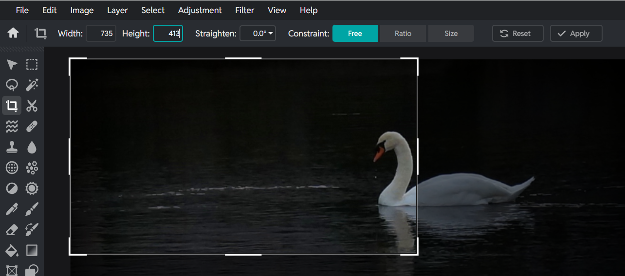 Pixlr resize box appearing after new dimensions added