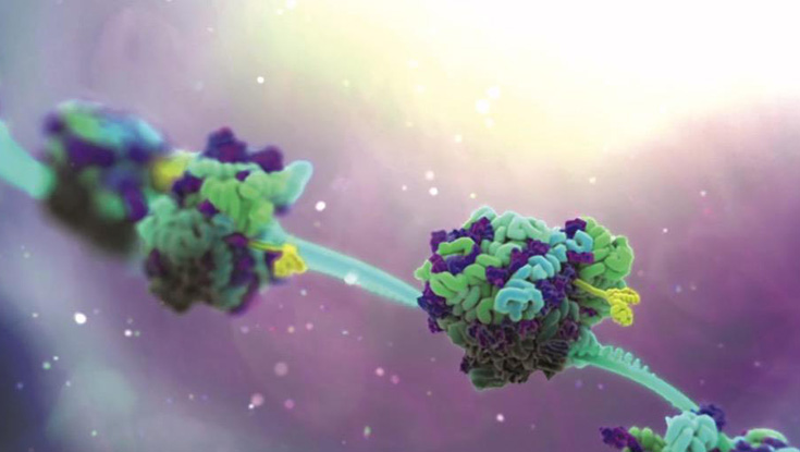 Ribosomes moving along an RNA strand. Photo: Factor Bioscience Inc.
