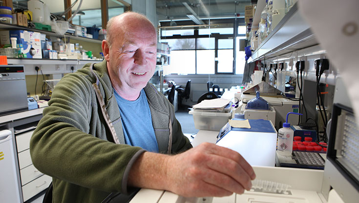 Professor Brian McStay