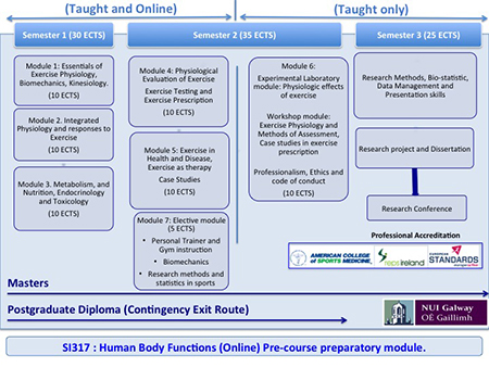 Exercise Physiology Graphic 2