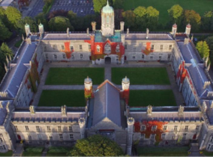 Pharmacology for Undergraduates