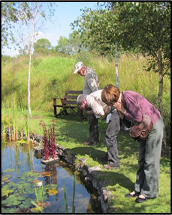 What would help you connect to nature?