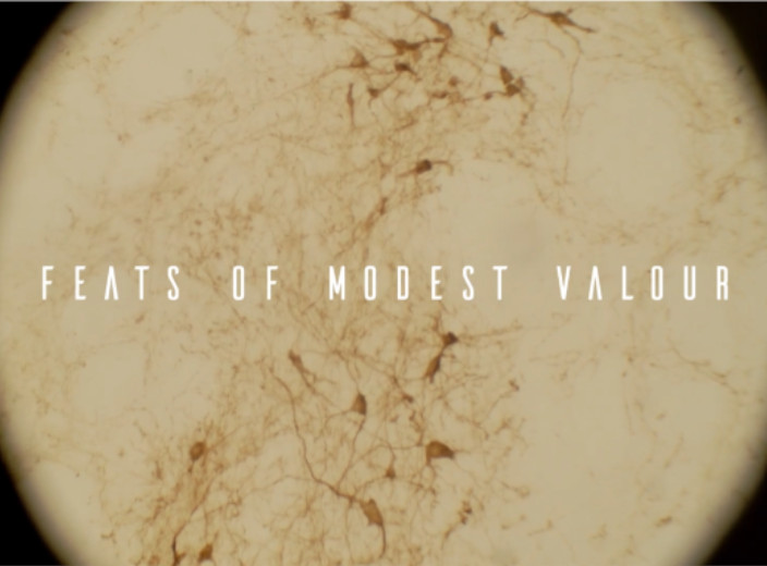 Feats of Modest Valour