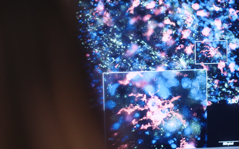 MS research at C&Uacute;RAM