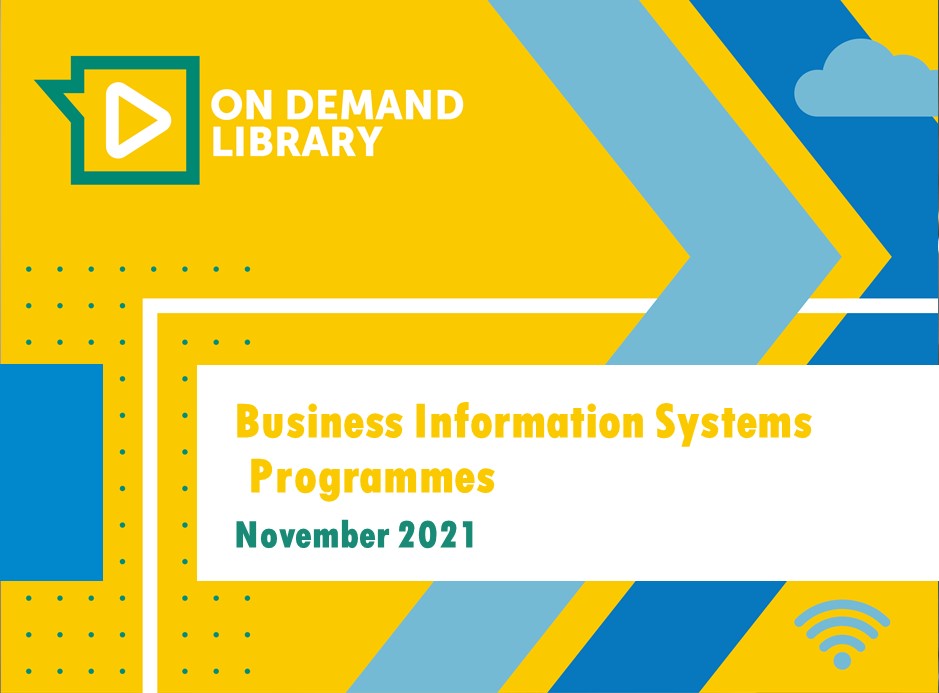 Business Information Systems Programmes