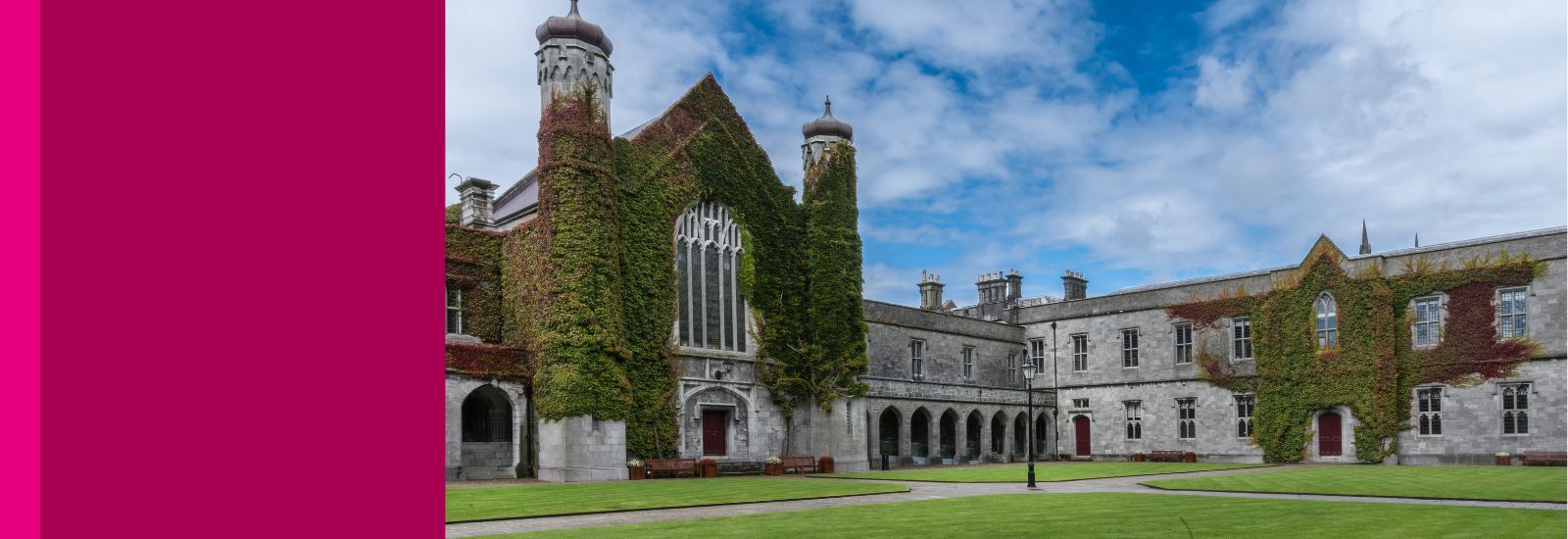 Our Research Pillars