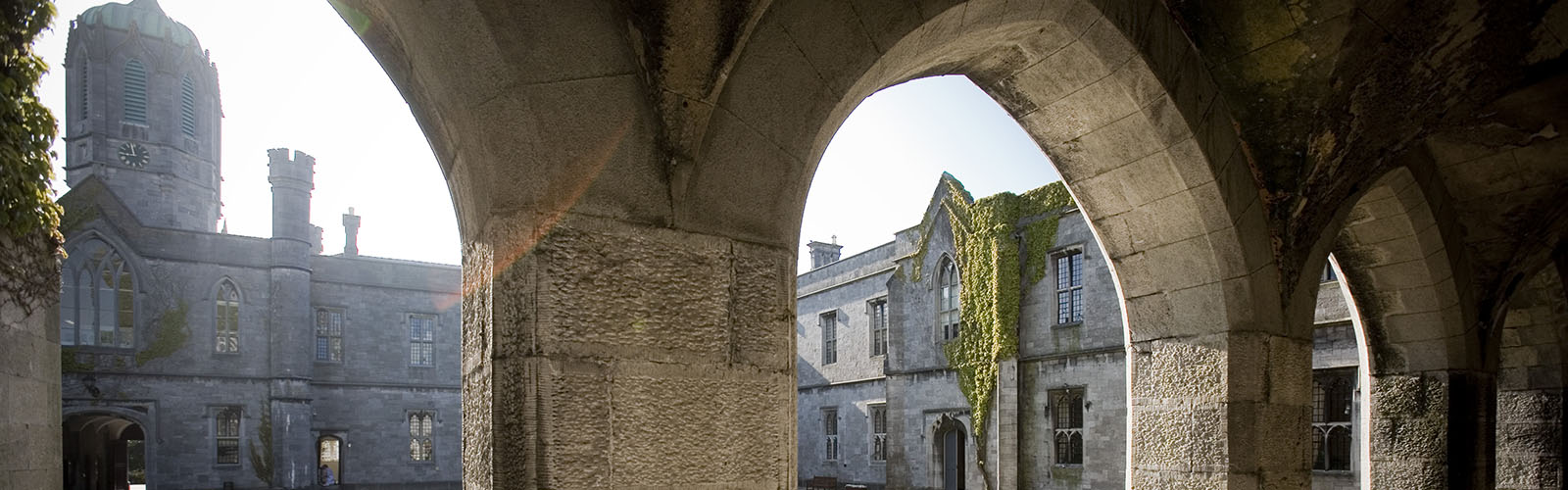 Image of quadrangle at the university
